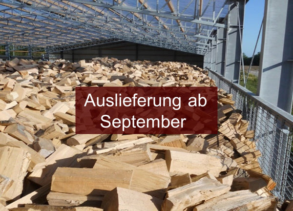 Buchenbrennholz 4 Schüttraummeter